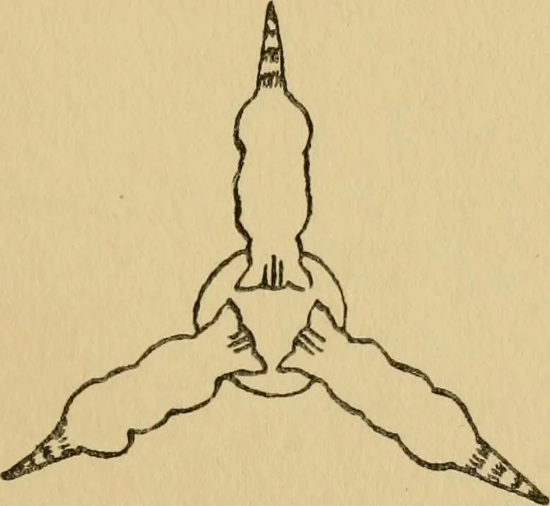 An illustration from Children and gardens, 1908, leaf 196