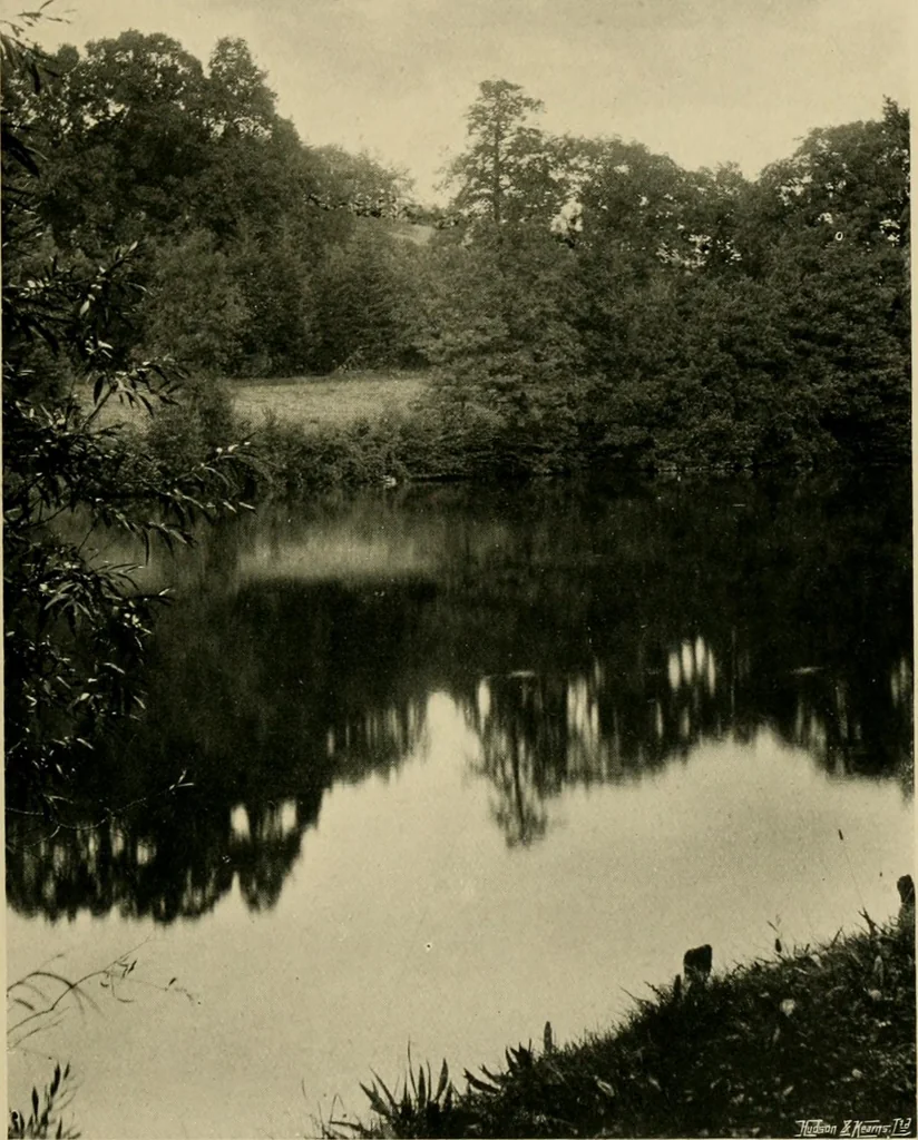 An illustration from Children and gardens, 1908, leaf 20