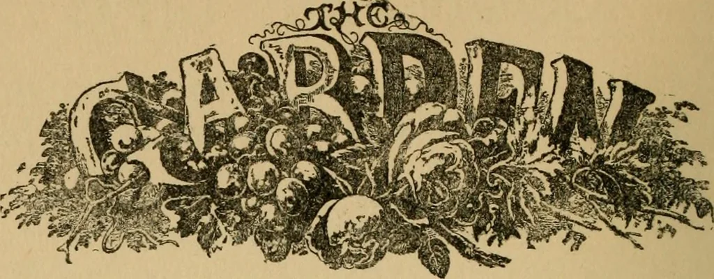 An illustration from Children and gardens, 1908, leaf 215