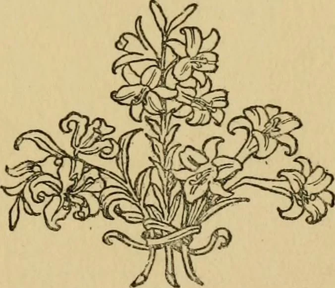 An illustration from Children and gardens, 1908, leaf 4