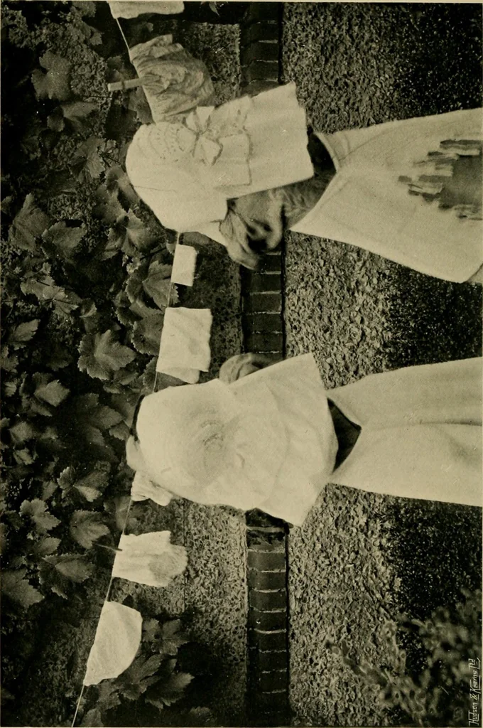 An illustration from Children and gardens, 1908, leaf 47
