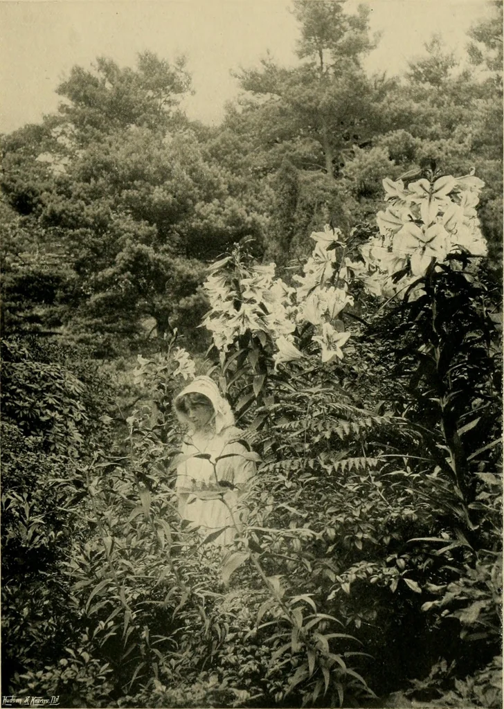 An illustration from Children and gardens, 1908, leaf 56
