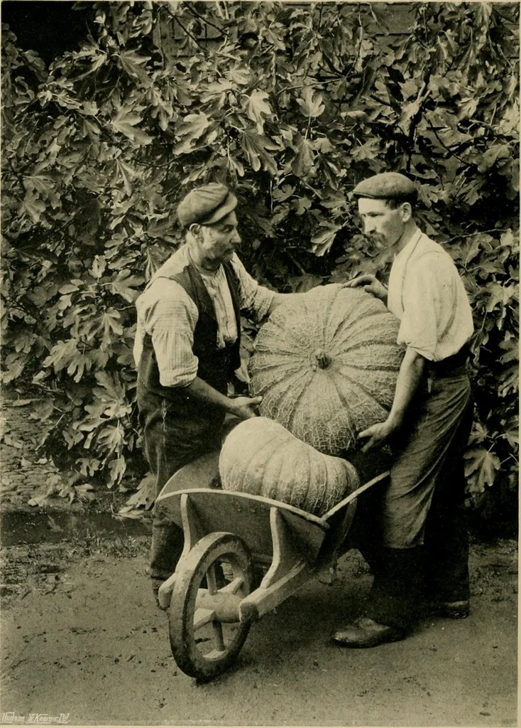 An illustration from Children and gardens, 1908, leaf 57