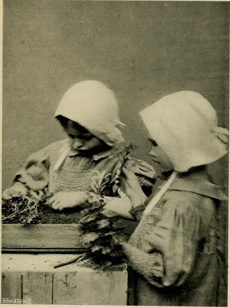 An illustration from Children and gardens, 1908, leaf 66