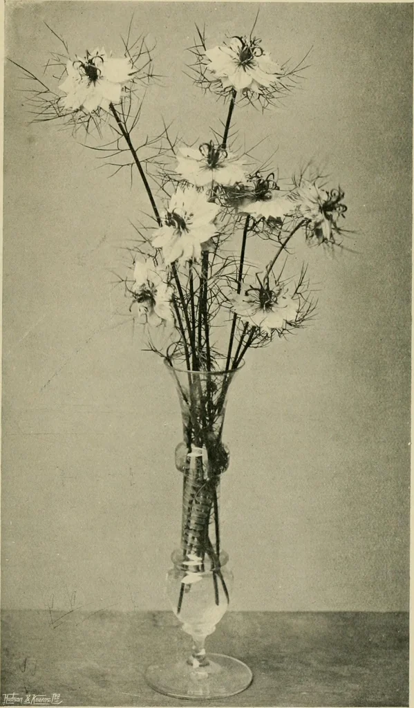 An illustration from Children and gardens, 1908, leaf 72