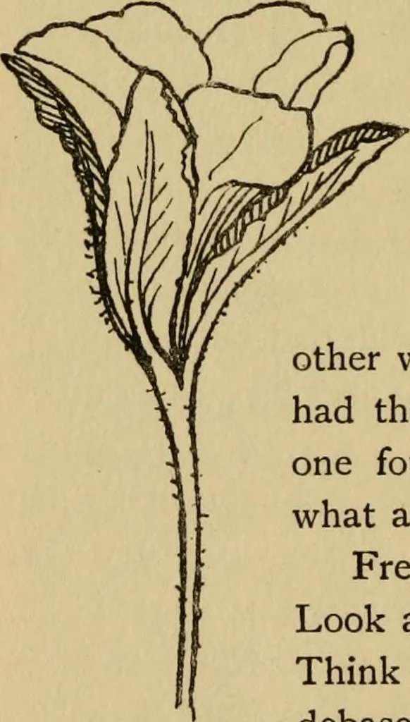 An illustration from Children and gardens, 1908, leaf 93
