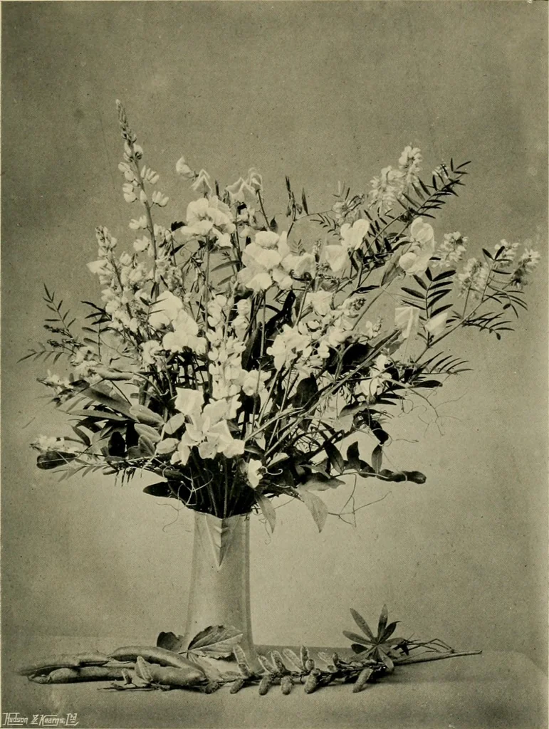 An illustration from Children and gardens, 1908, leaf 96
