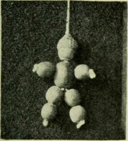 An illustration from Children's occupations, 1920, leaf 120