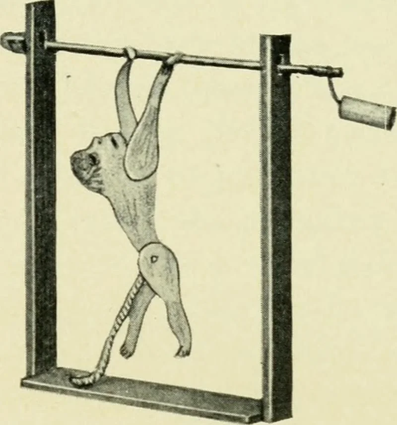 An illustration from Children's occupations, 1920, leaf 224