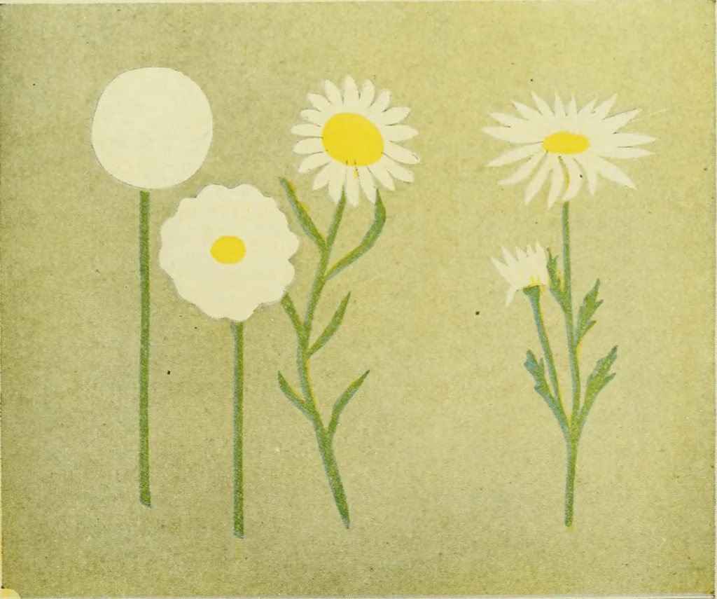 An illustration from Children's occupations, 1920, leaf 348
