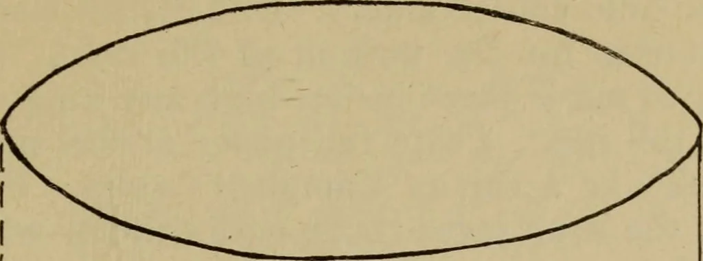 An illustration from Childrens parties for Sunday school and home .., 1915, leaf 108