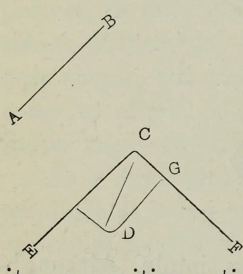 An illustration from Children's toys, and some elementary lessons in general knowledge which they teach, 1877, leaf 116