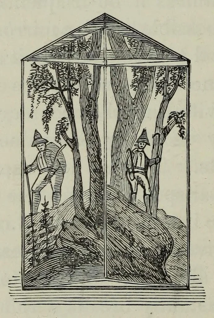 An illustration from Children's toys, and some elementary lessons in general knowledge which they teach, 1877, leaf 248