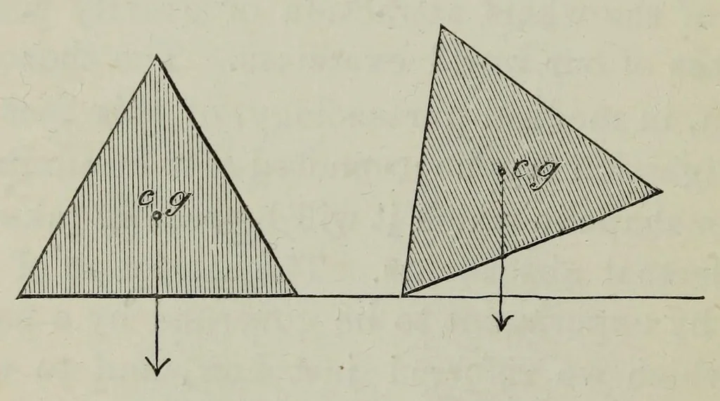An illustration from Children's toys, and some elementary lessons in general knowledge which they teach, 1877, leaf 80
