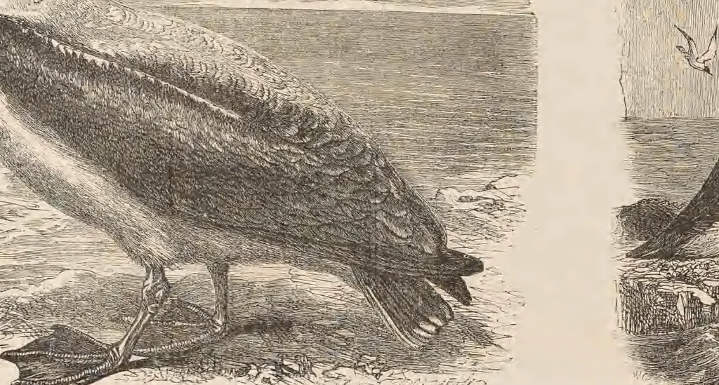 An illustration from The child's picture scrap book : containing upwards of four hundred illustrations, 1865, leaf 36