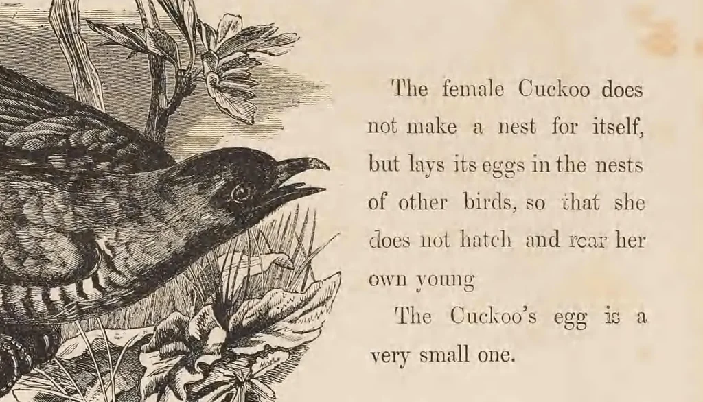 An illustration from The child's picture scrap book : containing upwards of four hundred illustrations, 1865, leaf 77