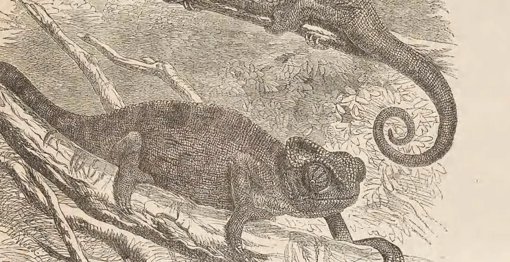 An illustration from The child's picture scrap book : containing upwards of four hundred illustrations, 1865, leaf 91