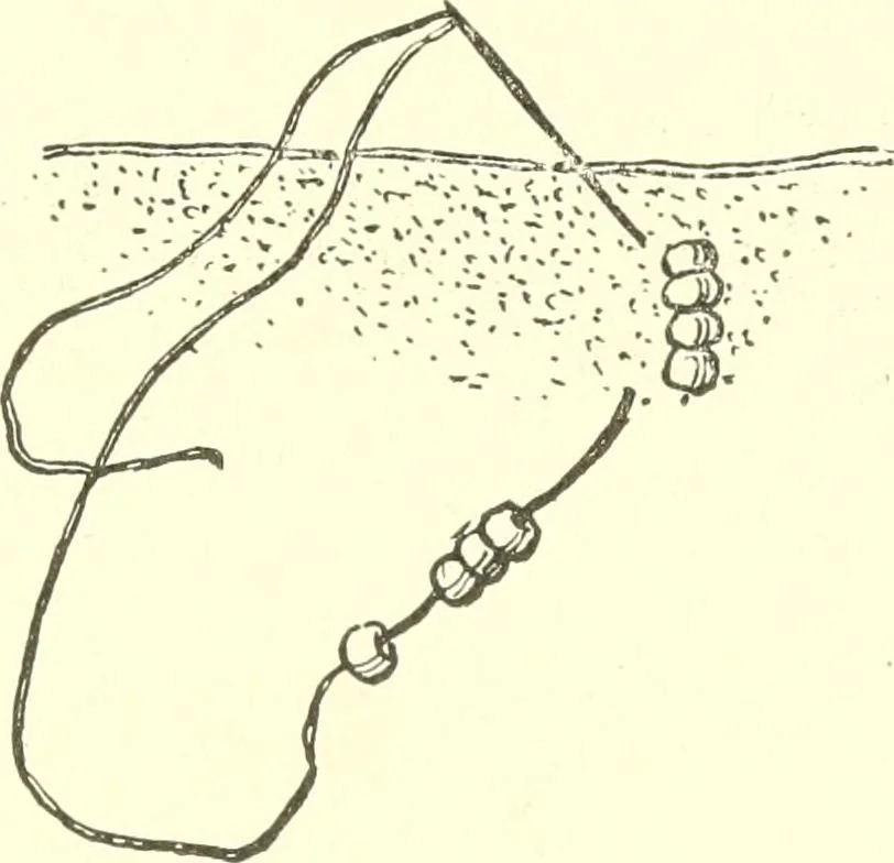 An illustration from The child's rainy day book, 1905, leaf 118