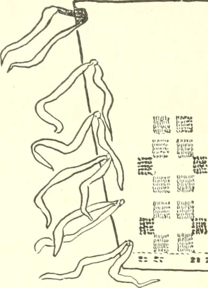 An illustration from The child's rainy day book, 1905, leaf 121