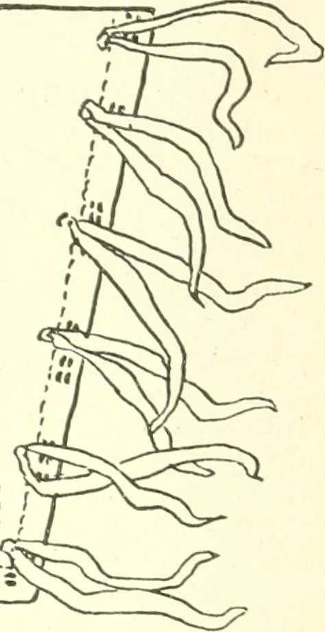 An illustration from The child's rainy day book, 1905, leaf 121