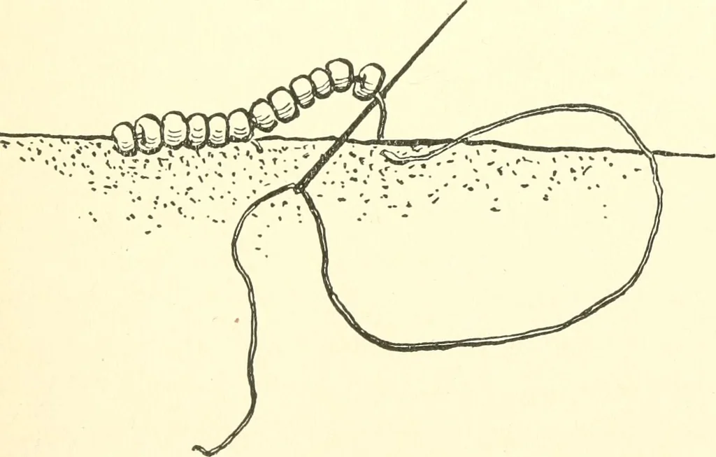 An illustration from The child's rainy day book, 1905, leaf 124