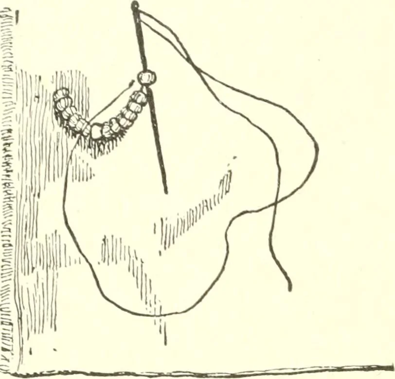 An illustration from The child's rainy day book, 1905, leaf 127