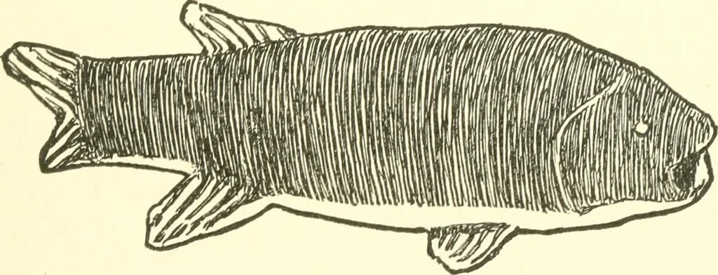 An illustration from The child's rainy day book, 1905, leaf 136