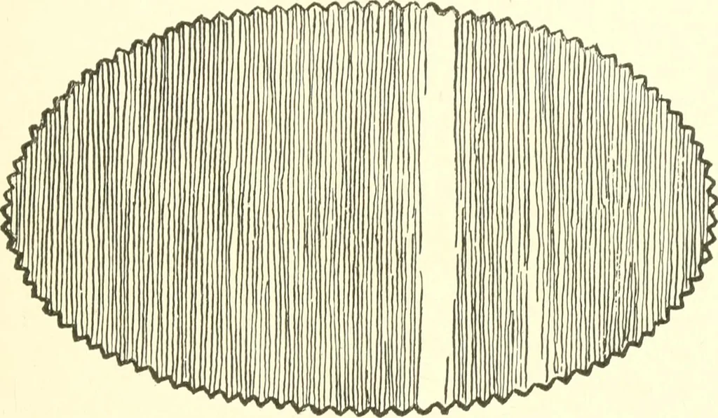 An illustration from The child's rainy day book, 1905, leaf 138