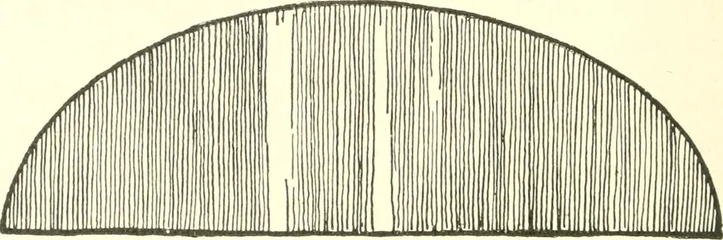 An illustration from The child's rainy day book, 1905, leaf 139