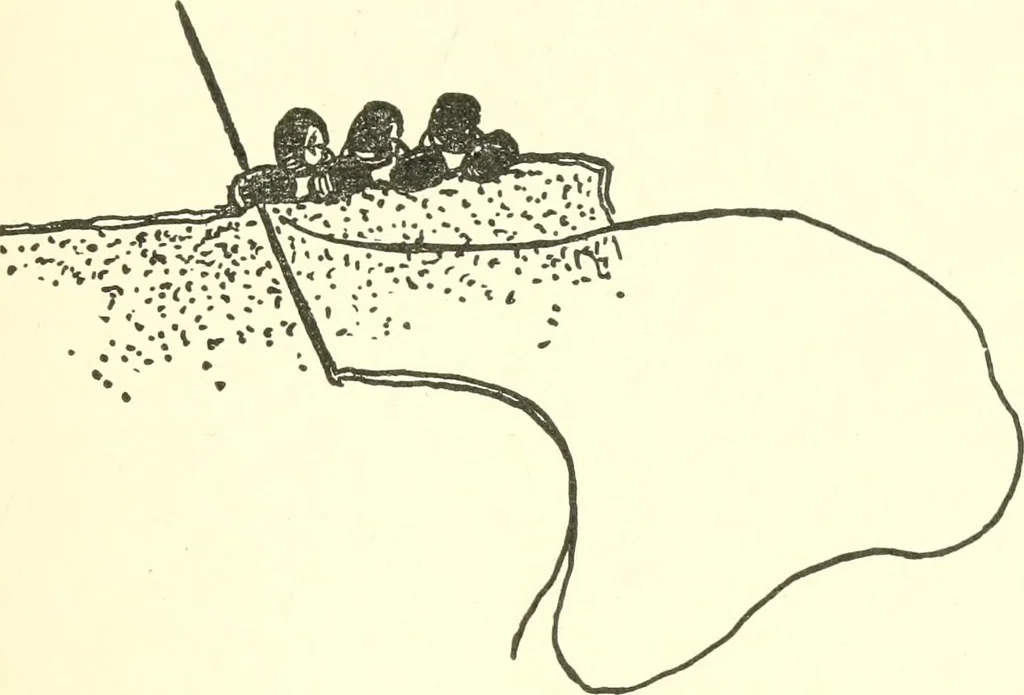 An illustration from The child's rainy day book, 1905, leaf 178