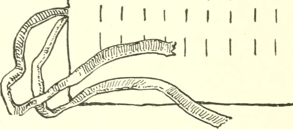 An illustration from The child's rainy day book, 1905, leaf 185