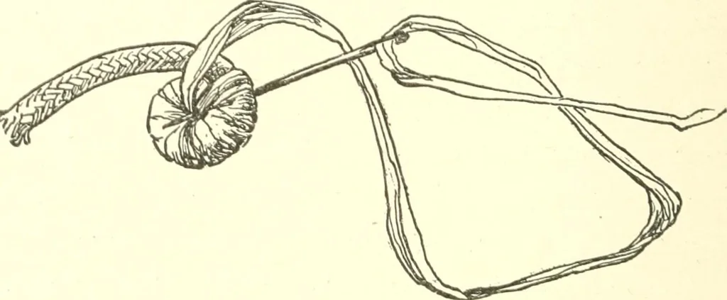 An illustration from The child's rainy day book, 1905, leaf 191