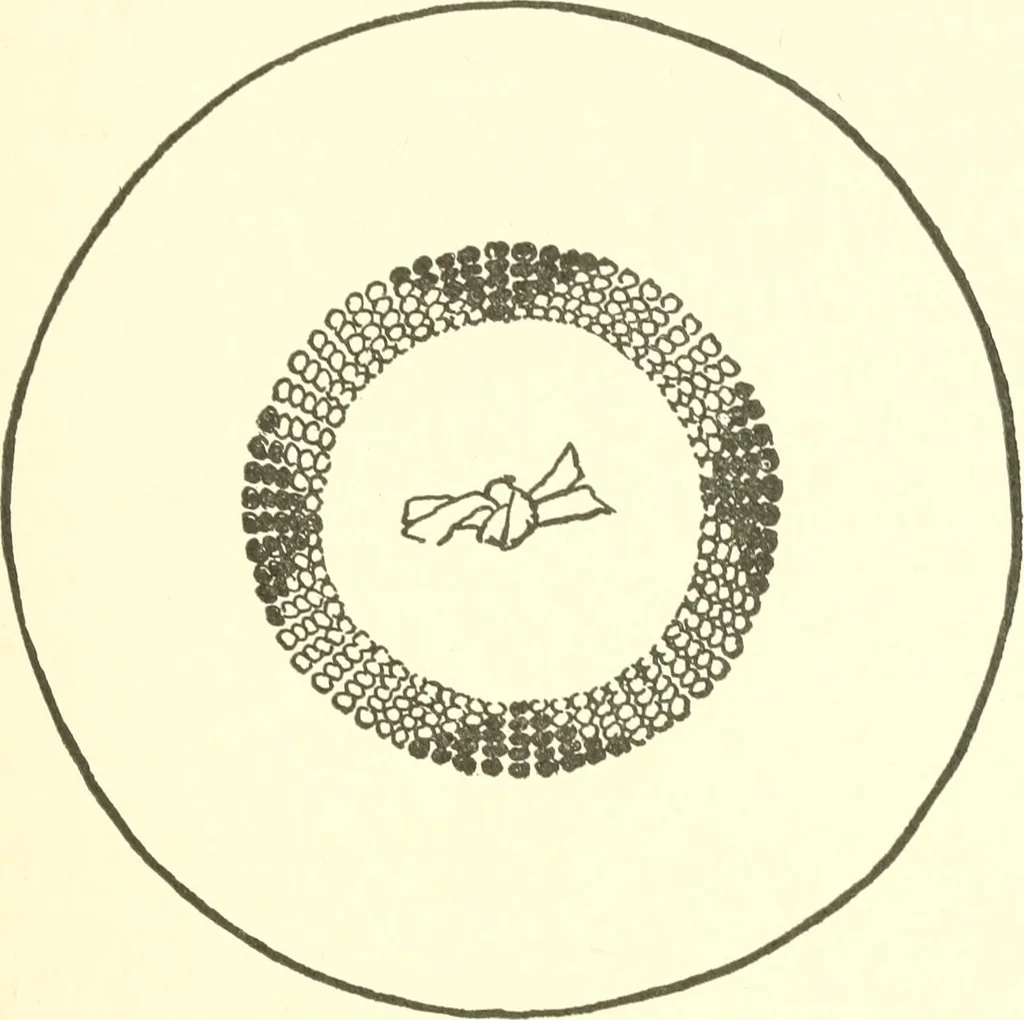 An illustration from The child's rainy day book, 1905, leaf 198