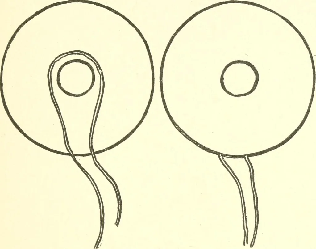 An illustration from The child's rainy day book, 1905, leaf 200