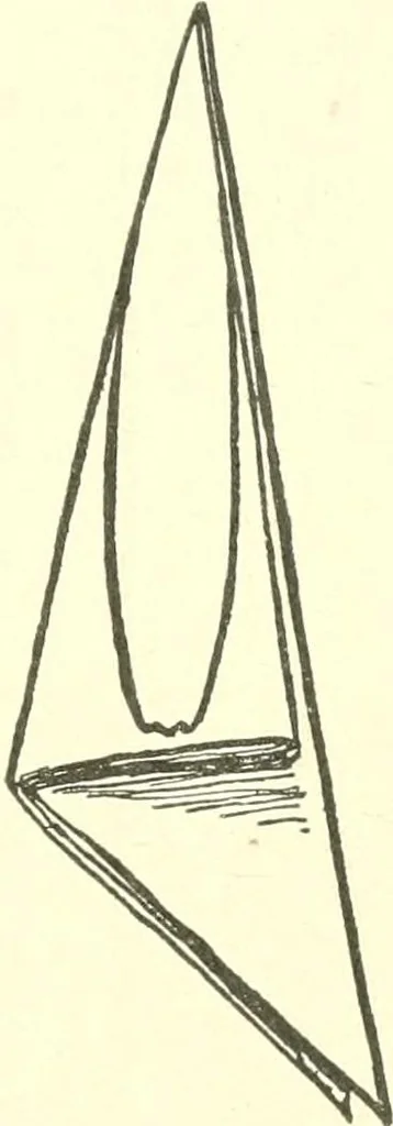 An illustration from The child's rainy day book, 1905, leaf 204