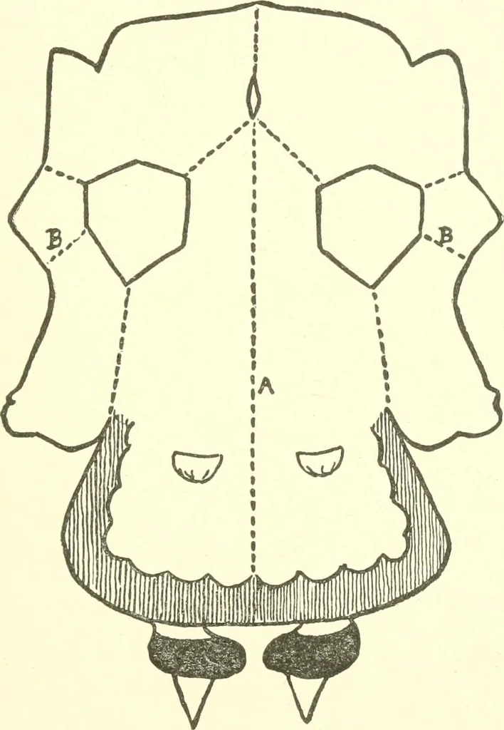 An illustration from The child's rainy day book, 1905, leaf 210