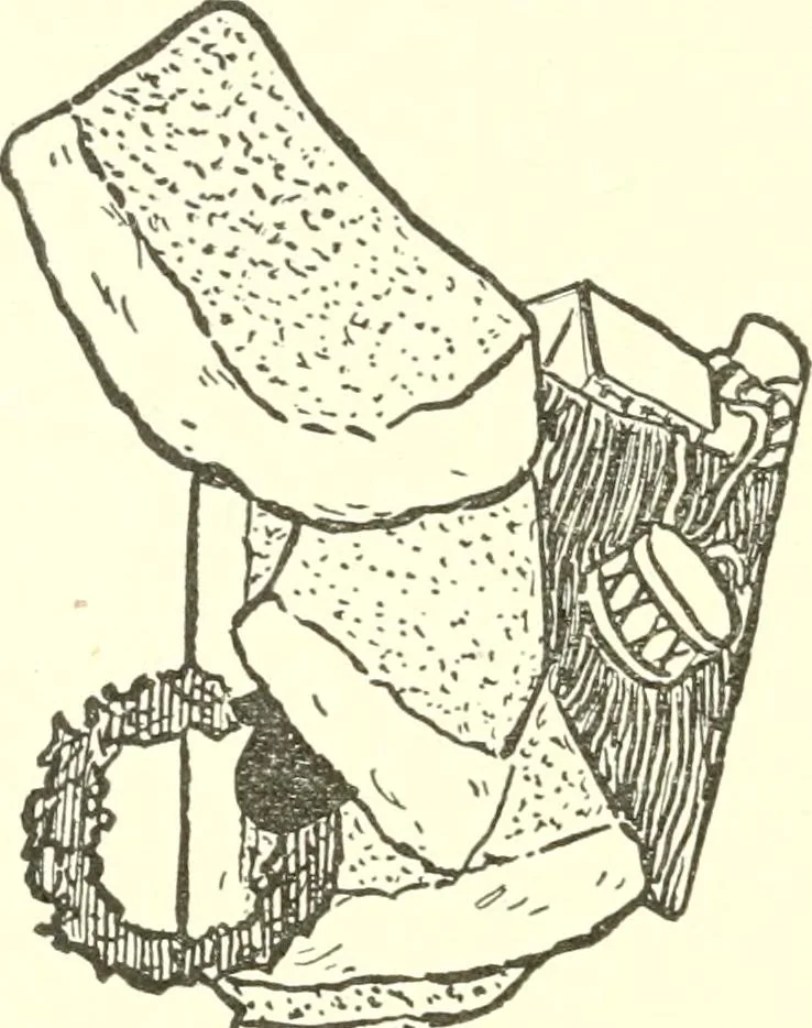 An illustration from The child's rainy day book, 1905, leaf 211