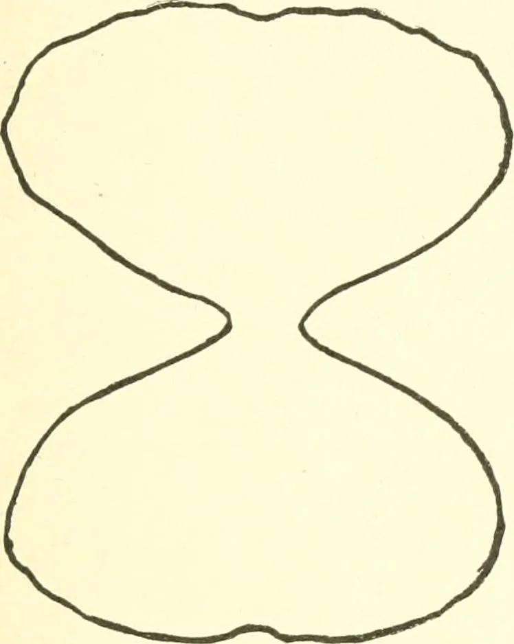 An illustration from The child's rainy day book, 1905, leaf 224