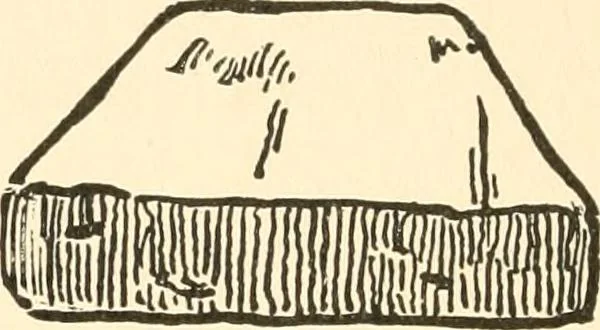 An illustration from The child's rainy day book, 1905, leaf 43
