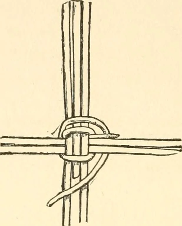 An illustration from The child's rainy day book, 1905, leaf 63