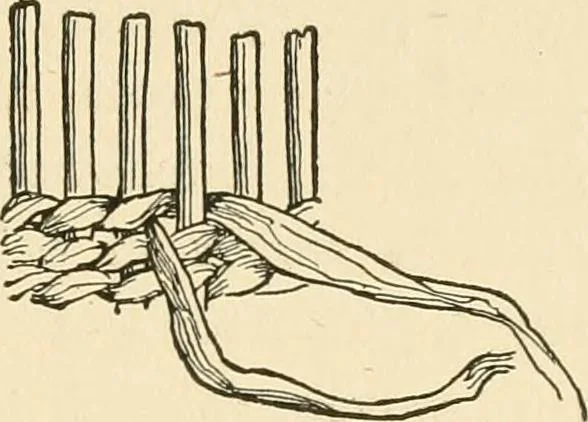 An illustration from The child's rainy day book, 1905, leaf 74