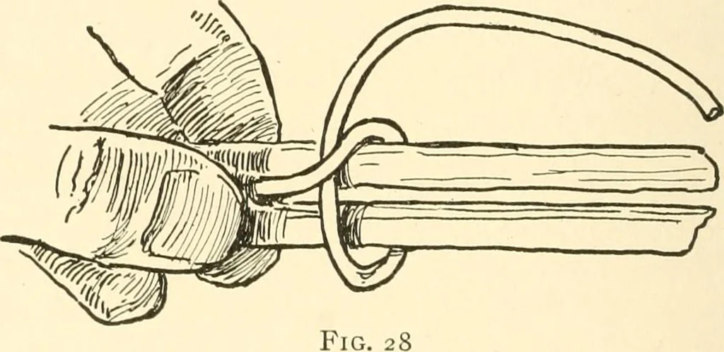 An illustration from The child's rainy day book, 1905, leaf 87