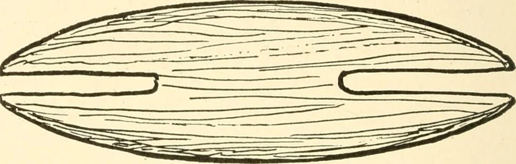An illustration from The child's rainy day book, 1905, leaf 89