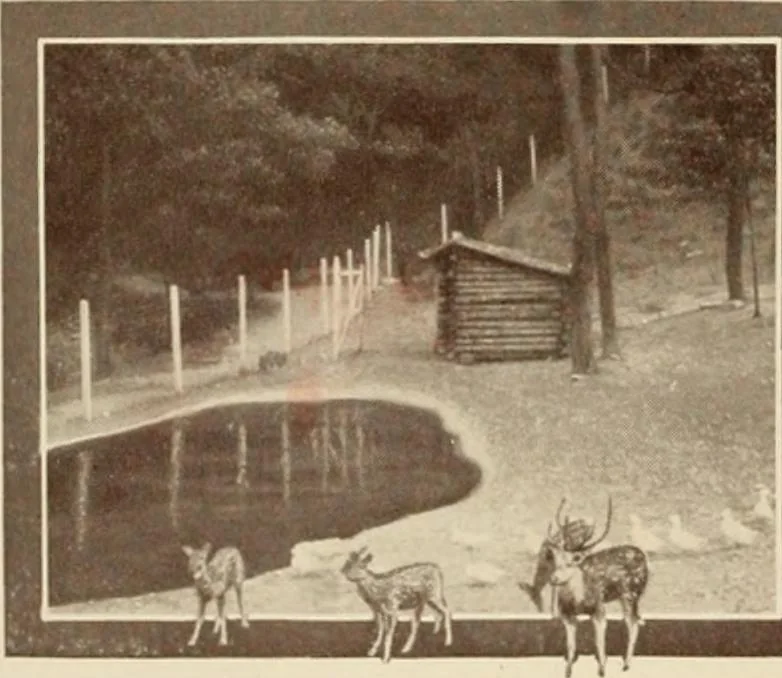 An illustration from China book., 1912, leaf 25