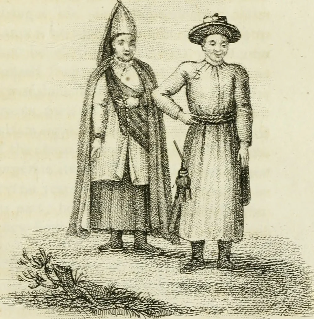 An illustration from China, its costume, arts, manufactures, &c. : edited principally from the originals in the cabinet of the late M. Bertin, with observations explanatory, historical, and literary, 1812, leaf 116