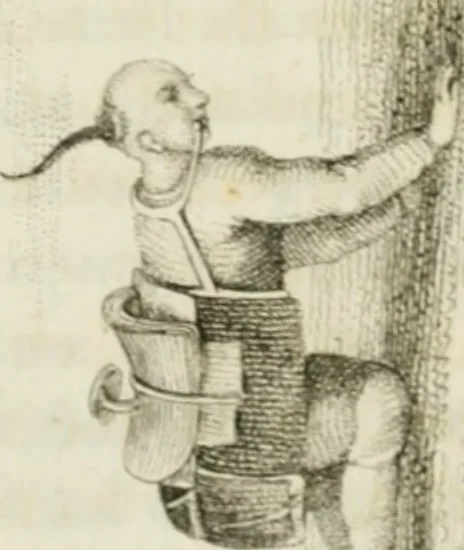 An illustration from China, its costume, arts, manufactures, &c. : edited principally from the originals in the cabinet of the late M. Bertin, with observations explanatory, historical, and literary, 1812, leaf 129