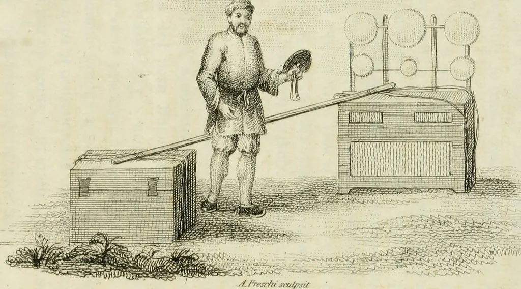 An illustration from China, its costume, arts, manufactures, &c. : edited principally from the originals in the cabinet of the late M. Bertin, with observations explanatory, historical, and literary, 1812, leaf 166
