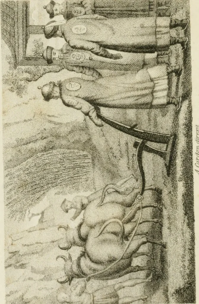 An illustration from China, its costume, arts, manufactures, &c. : edited principally from the originals in the cabinet of the late M. Bertin, with observations explanatory, historical, and literary, 1812, leaf 7