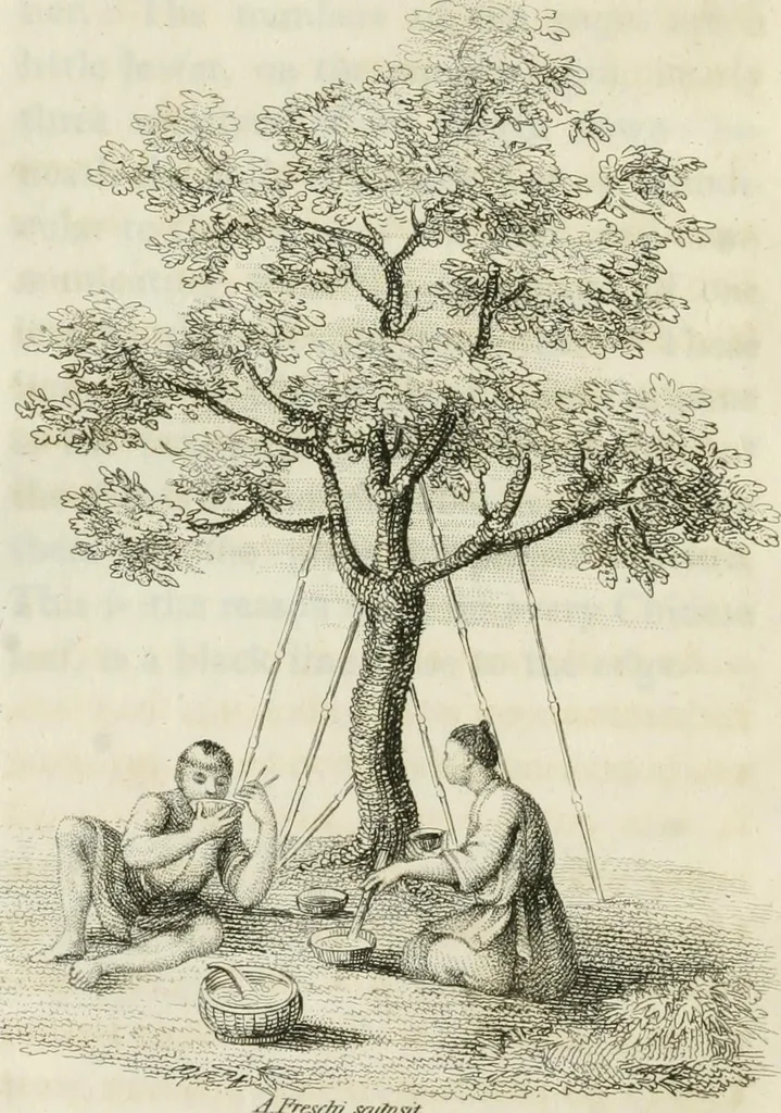 An illustration from China, its costume, arts, manufactures, &c. : edited principally from the originals in the cabinet of the late M. Bertin, with observations explanatory, historical, and literary, 1812, leaf 109