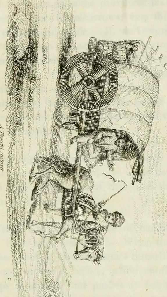 An illustration from China, its costume, arts, manufactures, &c. : edited principally from the originals in the cabinet of the late M. Bertin, with observations explanatory, historical, and literary, 1812, leaf 152
